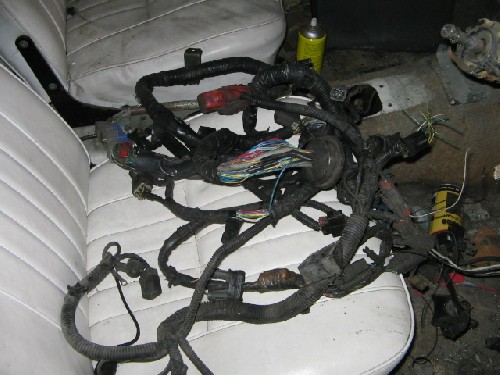 10290_4c747602b0fa6.jpg 640X480 px