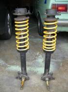 Modified Stanza struts