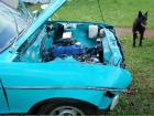 pete's shmatto qaurter panel