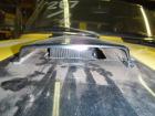 Carbs under hood scoop