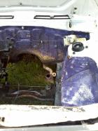 Preparing the engine bay 