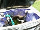 Preparing the engine bay 