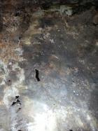 floor rust hole