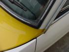Windshield trim